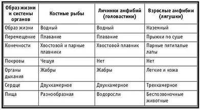 Используя текст параграфа о рыбах и амфибиях составление таблицу или схему,содержащую краткую информ