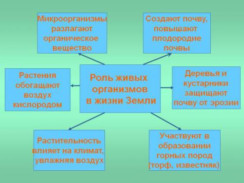 Значение живых организмов в природе и жизни человека составить таблицу