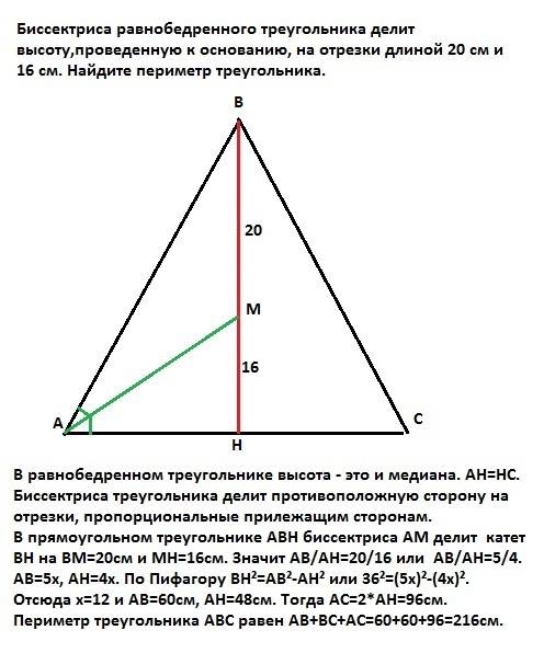 Биссектриса равнобедренного треугольника делит высоту,проведенную к основанию, на отрезки длиной 20