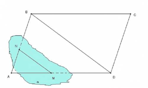 Диагональ bd параллелограмма abcd параллельна плоскости γ, а лучи ad и ab пересекают эту плоскость в