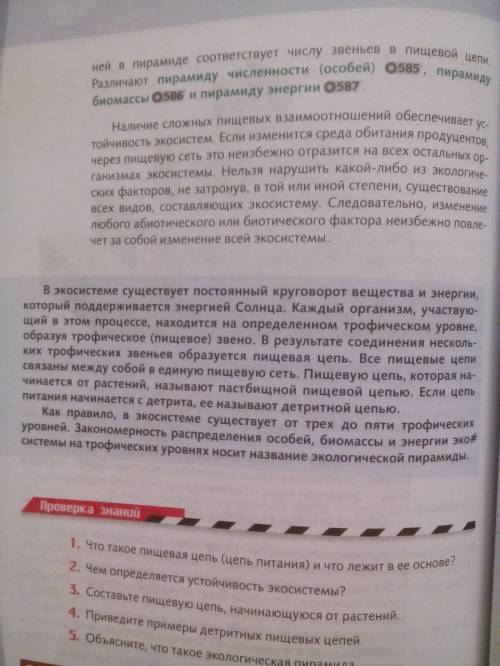 Каким образом происходит саморазвитие природных биогеоценозов экосистем