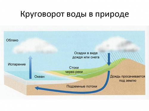 Путь воды путешественницы рабочая тетрадь окружающий мир 1 класс