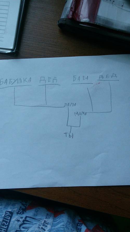 Как правильно нарисовать семейное дерево образец