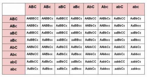 Как сделать таблицу пеннета на тригибридное скрещивание на aabbcc ×aabbcc , обьясните по какому мето