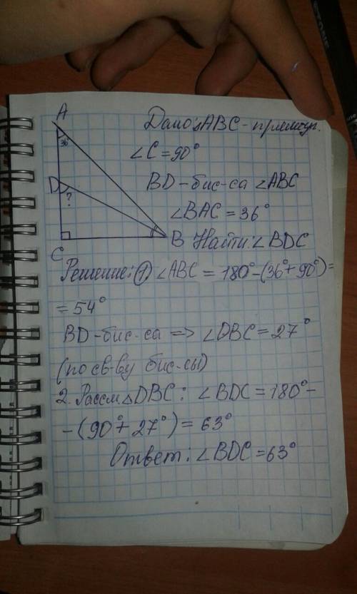 Треугольник авс прямоугольный,угол с=90°,bd-биссектриса,угол bac-36°. найдите градусную меру угла bd