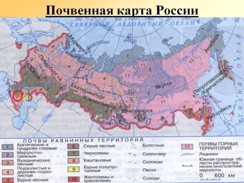 Вкаком из перечисленных регионов россии распространены черноземные почвы. 1)вологодская область 2)пе