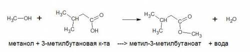 Напишите уравнение реакции получения сложного эфира из метанола и изовалериановой (3-метилбутановой)
