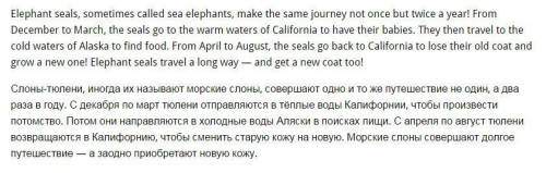 Написать рассказ на о путешествие слона portfolio: write about an elephant seal's journey надо