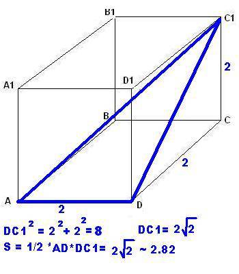 Ребро куба авсd a1b1c1d1 дорівнює 2 см знайти площу трикутника adc1