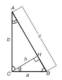 Площадь прямоугольного треугольника равна 2 корня из 3. найдите высоту этого треугольника, проведенн