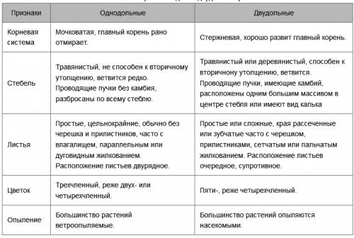 По каким признакам покрытосеменные делятся на двудольные и однодольные