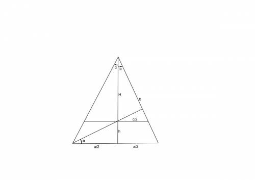 Длина основания равнобедренного треугольника равна 32 см, а длина внутреннего отрезка прямой, котора
