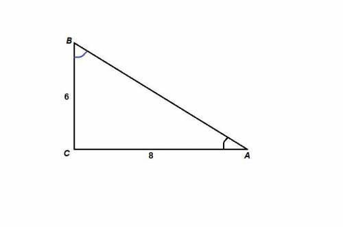 Втреугольнике авс известно, что угол с=90, ас=8 см, вс=6 см. найдите: 1) ctgb 2) sina