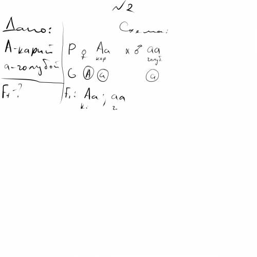 1.носительница гемофилии вышла замуж за здорового мужчину.какие могут быть дети от этого брака? схем