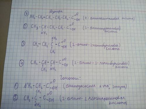 Напмшите сструктурные формулв 3 изомеров и 2 гомологов для 2-аминопентановой кислоты.все вещества на