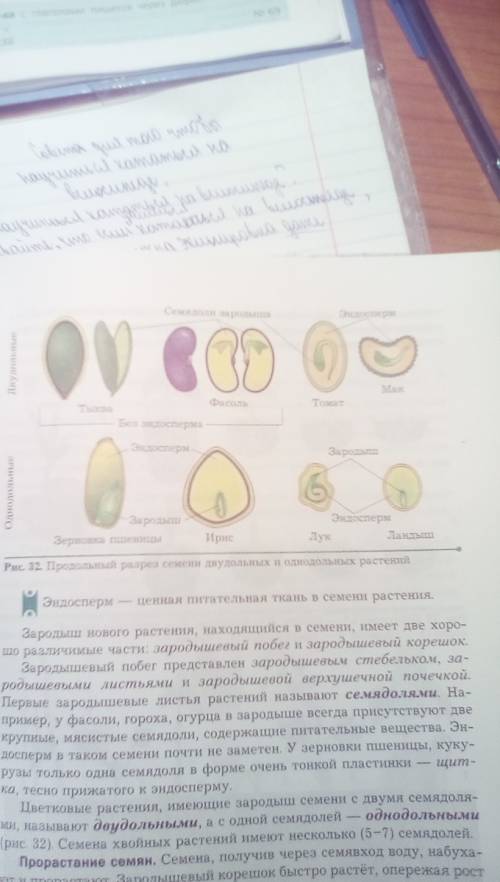 Кросвод окружаю.мир 3кл.часть семени в которой находится запас питательных веществ для зародыша