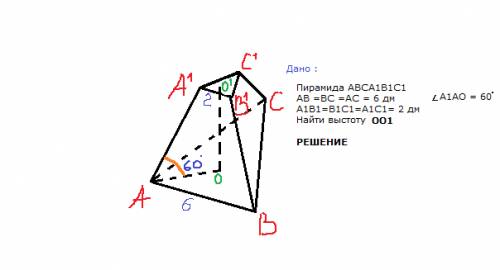 Решите стороны оснований правильной треугольной усеченной пирамиды 2 дм и 6 дм.боковое ребро образуе