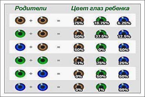 Сдано 1.определите генотипы всех членов семьи,если у ребенка голубые глаза,у родителей карие.у баб