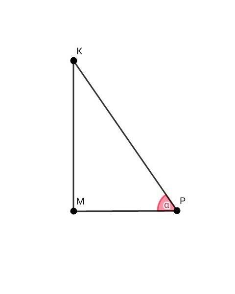 Дан прямоугольный треугольник мкр. мр=15 см, кр=30 см. найдите угол р.