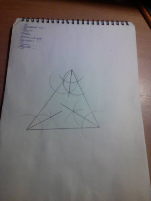 Постройте произвольный треугольник с циркуля и линейки проведите биссектрисы !
