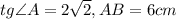 tg \angle A = 2\sqrt{2}, AB = 6 cm
