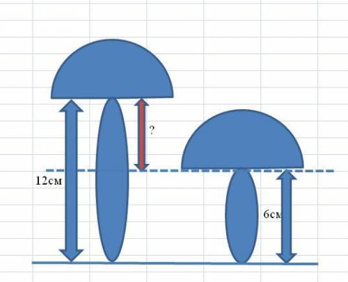 Начертить схему! 1) длина ножки моховика- 6см. подберезовика- 12см. запиши требование . если ее реше