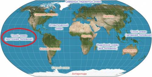 На карте полушарий укажи стрелкой тихий океан