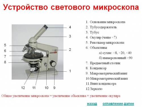 Устройство микроскопа приготовления микропрепарата