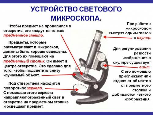 Устройство микроскопа приготовления микропрепарата