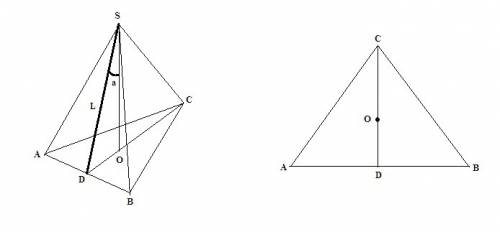 Апофема правильной треугольной пирамиды равна l и образует с высотой пирмады угол альфа. найдите пло