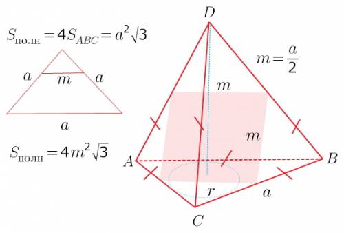Площадь того сечения правильного тетраэдра, которое имеет форму квадрата, равна m2. найти поверхност