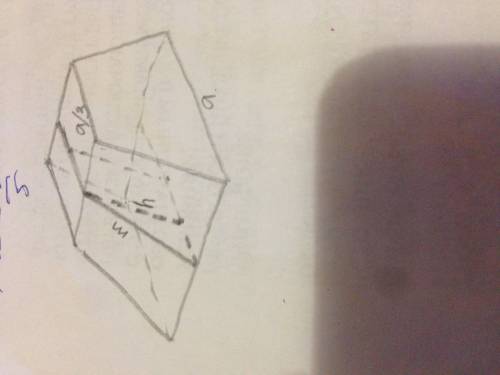 Плоскость, параллельная плоскости основания правильной четырехугольной пирамиды, делит высоту пирами