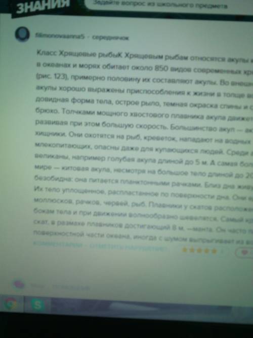 Основные систематические группы рыб. особенности строение и представители