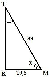 Впрямоугольном треугольнике наибольшая сторона мт-39,мк-19,5.чему равен угол м?