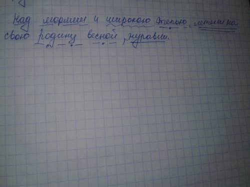 Синтаксический разбор (по 4) над морями и широкою степью летели на свою родину весной журавли