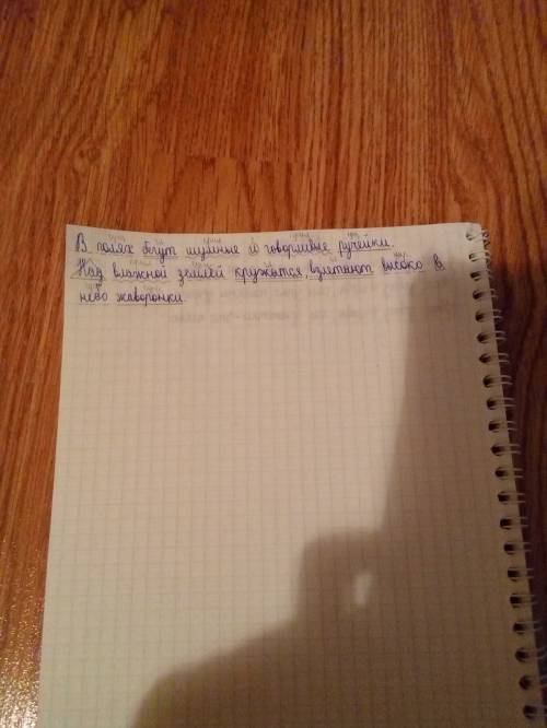 Сделайте полный синтаксический разбор предложений: в полях бегут шумные и говорливые ручейки. ; над