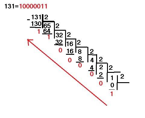 Представьте десятичное число -131 в двоичном 8-разрядном прямом коде.