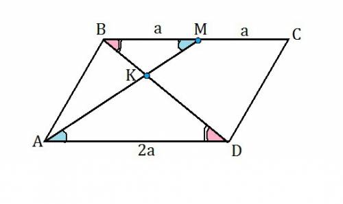Впараллелограмме abcd отмечена точка m-середина стороны bc. отрезки bd и am пересекаются в точке k.