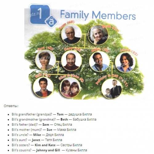 Look at the family tree again.who is/are: 1 twins? 2 bill`s parents? 3 bill`s grandparents? 4 mike`s