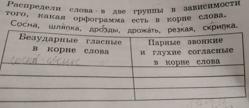 Парные звонкие глухие согласные в корне слова сосна шляпка дрозды дрожать резкая скрипка