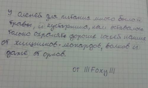 Уоленей для питания много было и травы, и кустарника, нам оставалось только охранять дорогих гостей