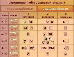 Имена существительные какого склонения в трех падежах формах имеют одинаковые окончания 1 склонения