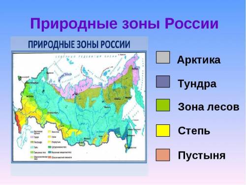 Положение россии в тепловых поясах и природных зонах