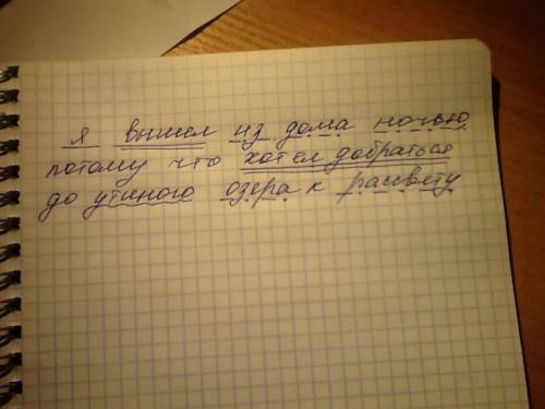 Явышел из дома ночью потому что хотел добраться до утиного озера к рассвету синтаксический разбор