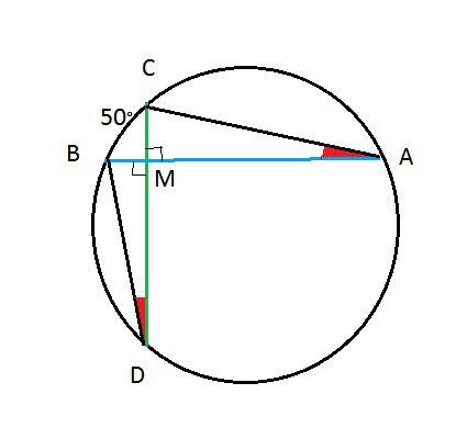 Точки a, b, c и d лежат на одной окружности так, что хорды ab и cd взаимно перпендикулярны,а угол bd