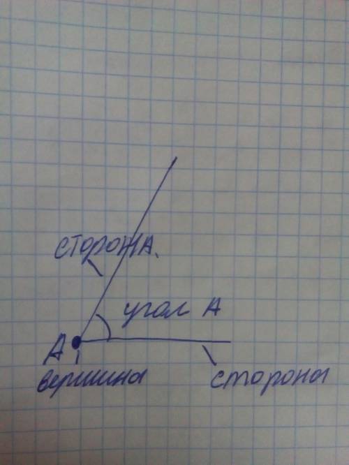 Объясните ,что такое вершина и стороны угла.