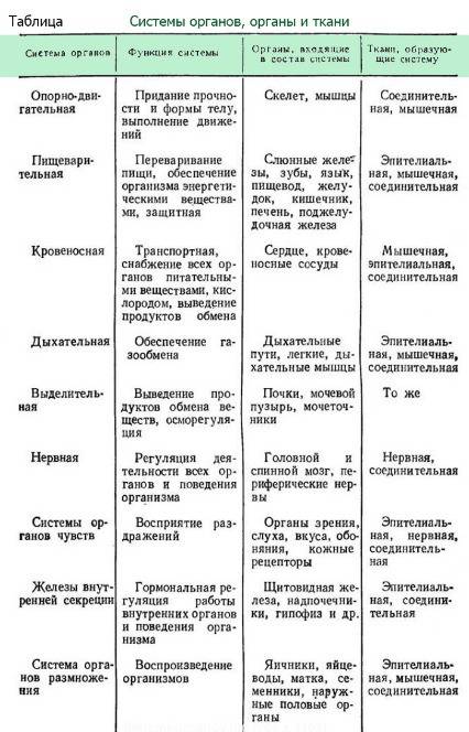 Сравнение органов чувств нервной системы животных) в виде таблицы