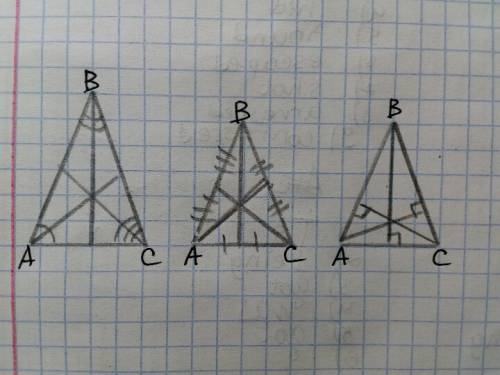 Нарисовать три треугольника. на первом провести 3 биссектрисы, на втором 3 медианы, на третьем 3 выс