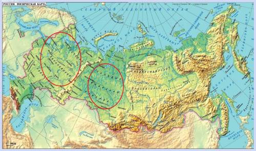 Восточно-европейская и западно-сибирская равнины.сравнение