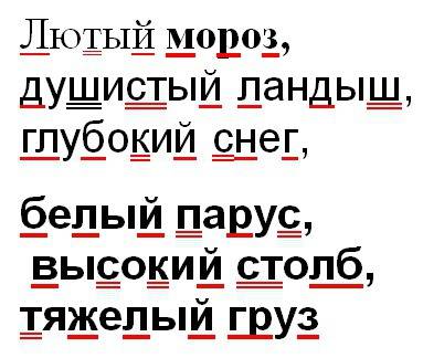 Найди и подчеркни звонкие согласные одной чертой глухие двумя обрати внимание на место парных соглас